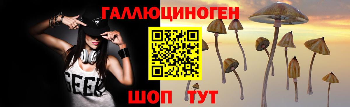 Псилоцибиновые грибы Psilocybe  Галлюциногенные грибы GOLDEN TEACHER  Пенза  Вход с VPN 